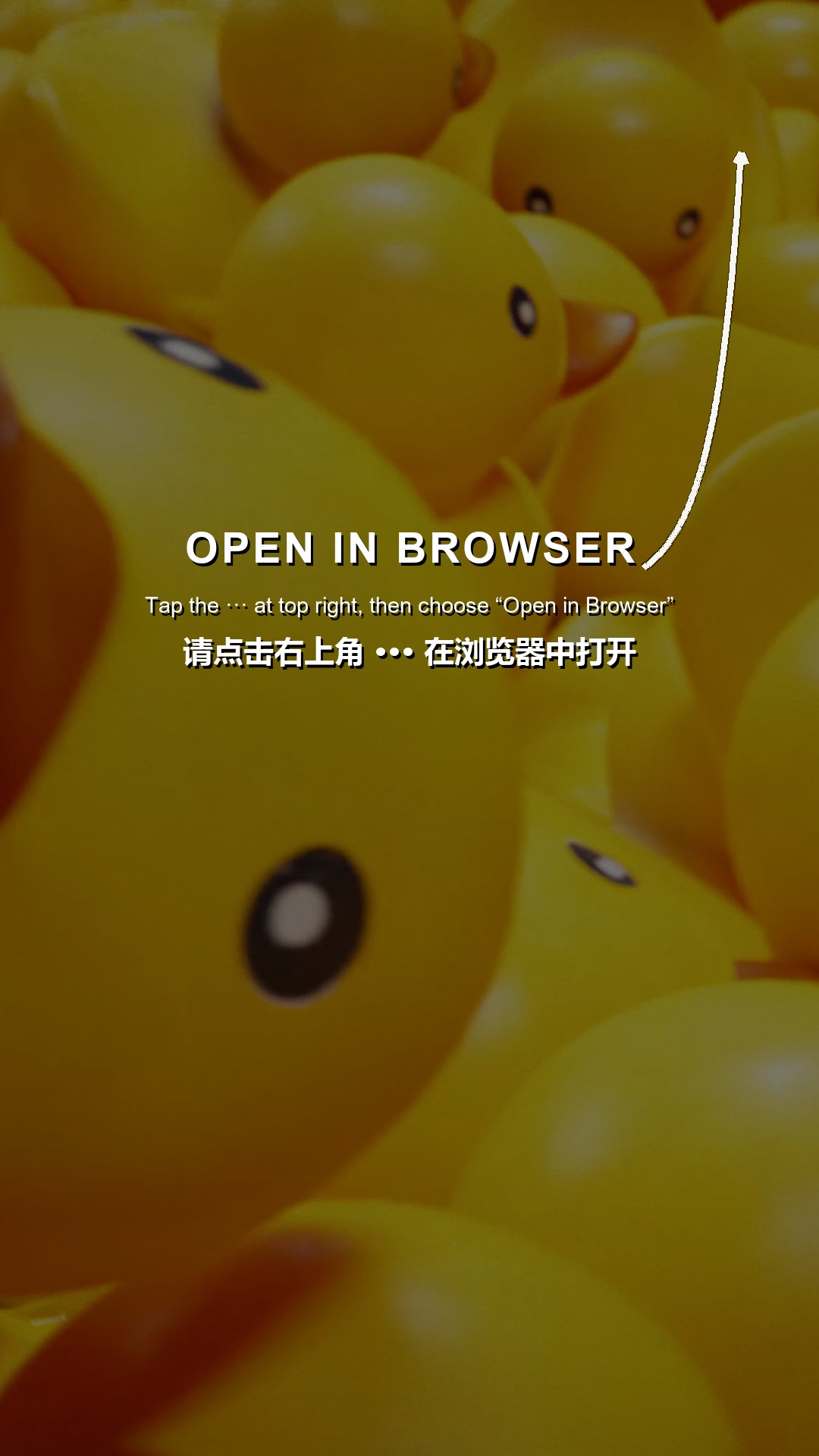 请在浏览器中访问